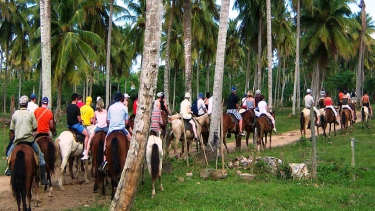 Samana: Full day Samana Amazing tour Punta Cana - Photo 5 (Gallery view)