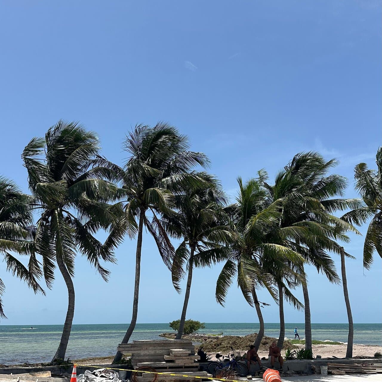 From Fort Lauderdale to Key West Full-Day Tour - Photo 4 (Gallery view)