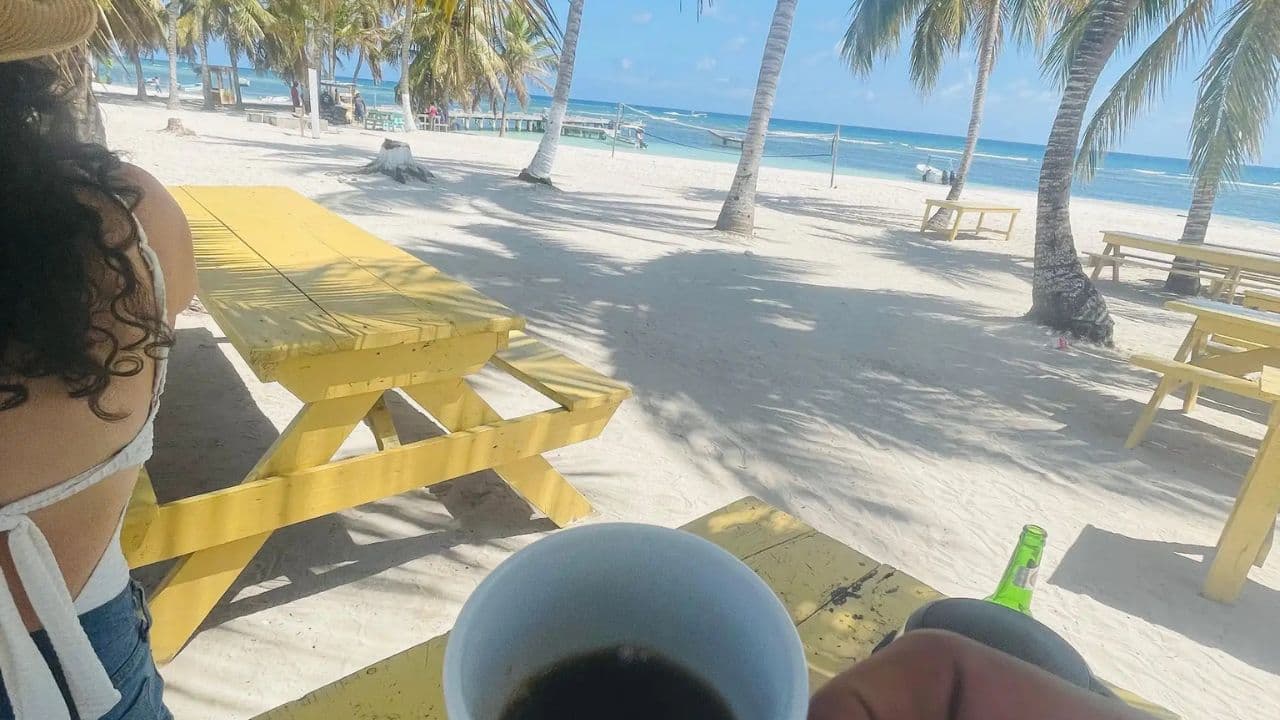 Crucero de día completo por Isla Saona desde Santo Domingo con almuerzo - Photo 2 (Gallery view)