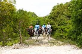 From Bávaro: Higüey Tour with Ranch Horse Ride and Lunch - Photo 3 (Gallery view)