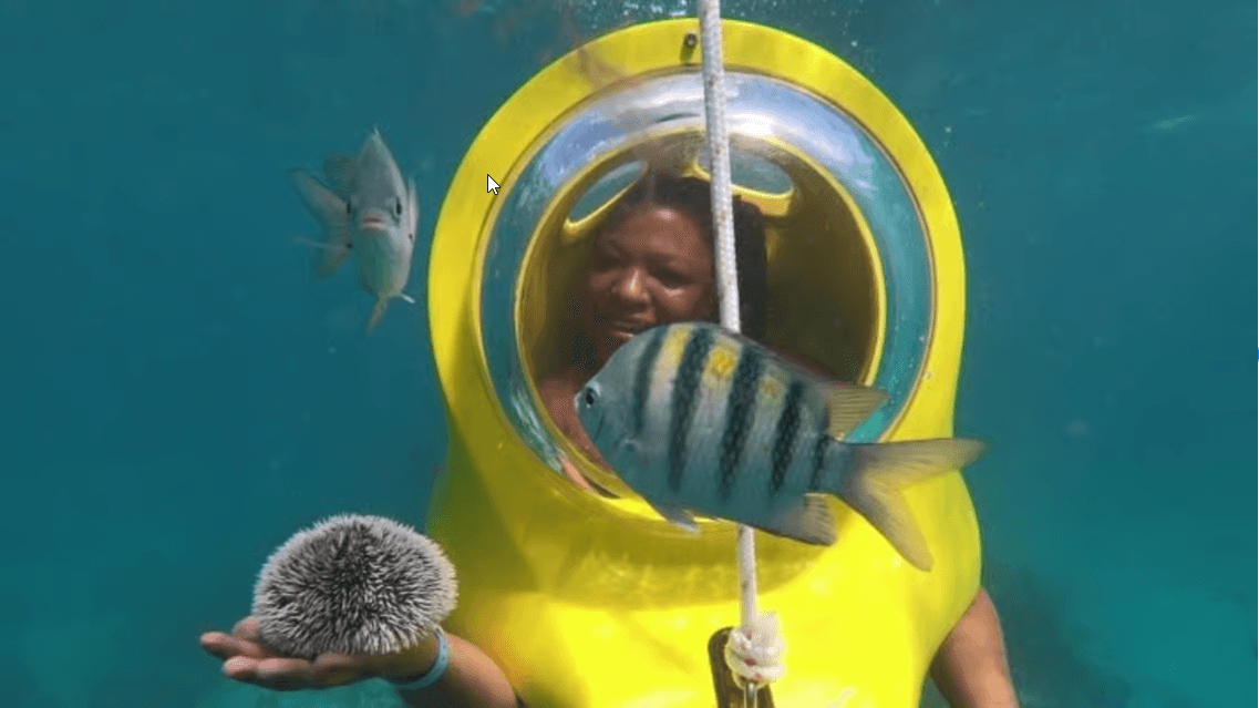 Scuba Doo - Diving Scooters in Punta Cana - Dominican Republic