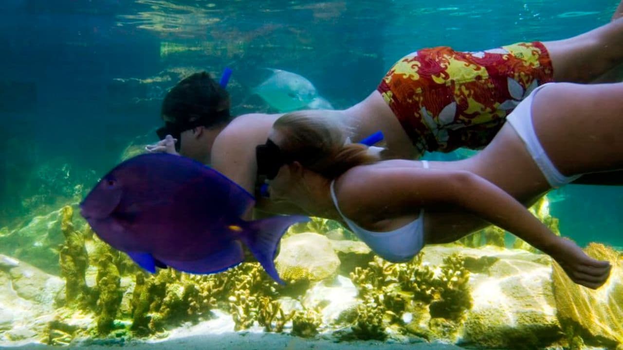 Puerto Plata Ocean World Adventure Park Taino bay Amber cove - Photo 3 (Gallery view)