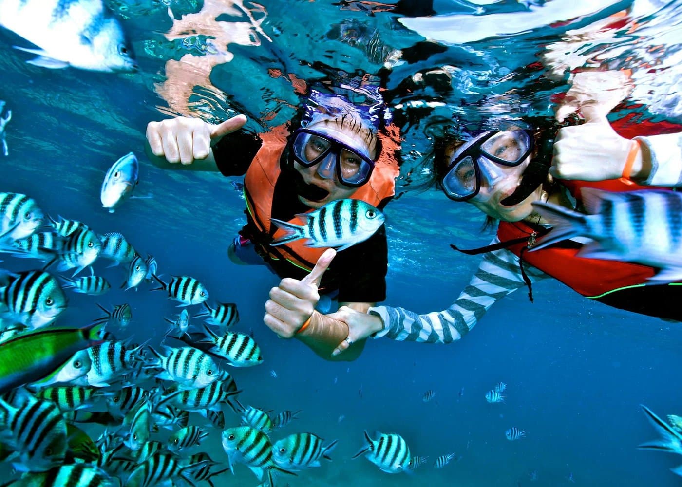 Cayo Levantado at Bacardi Island including Boat transfer, Lunch and Snorkeling - Dominican Republic