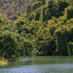 Full day buggy Safari with lunch and Chavon River Tour - Photo 5 (Gallery view)