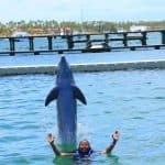 Înot cu delfini în Punta Cana – Cea mai bună descoperire a delfinilor de 60 de minute - Photo 2 (Gallery view)