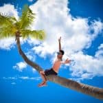 From Punta Cana: Saona Island Full Day Trip with Lunch - Photo 4 (Gallery view)