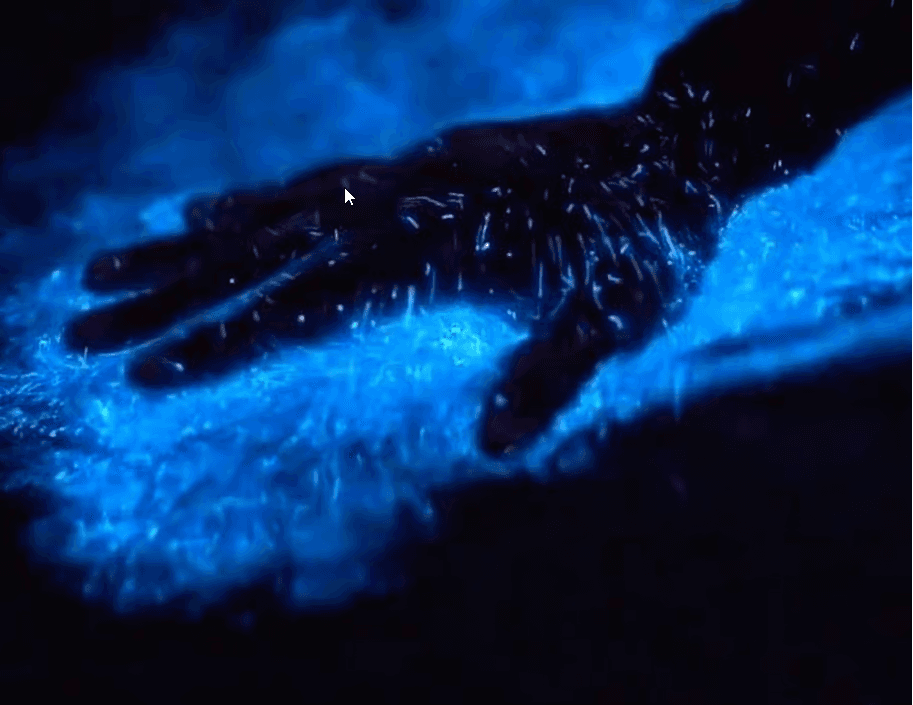 Vieques: Bioluminescent Bay Night Clear Kayak Tour - Photo 5 (Gallery view)