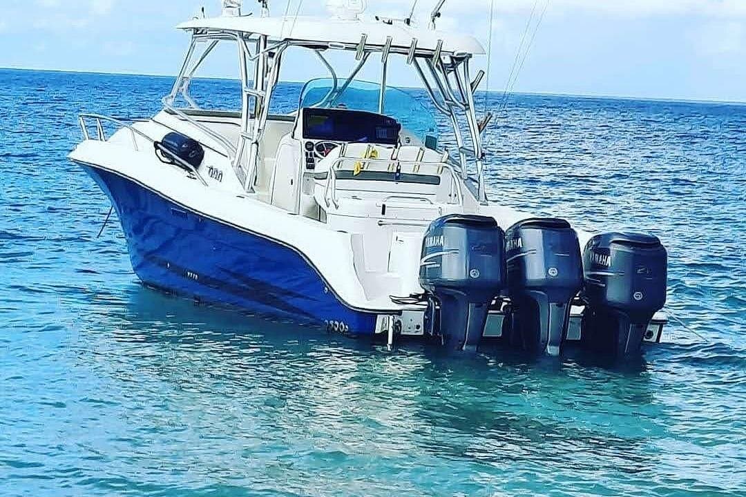 Private Tour to Cayo Icacos and Palomino Island - Photo 3 (Gallery view)