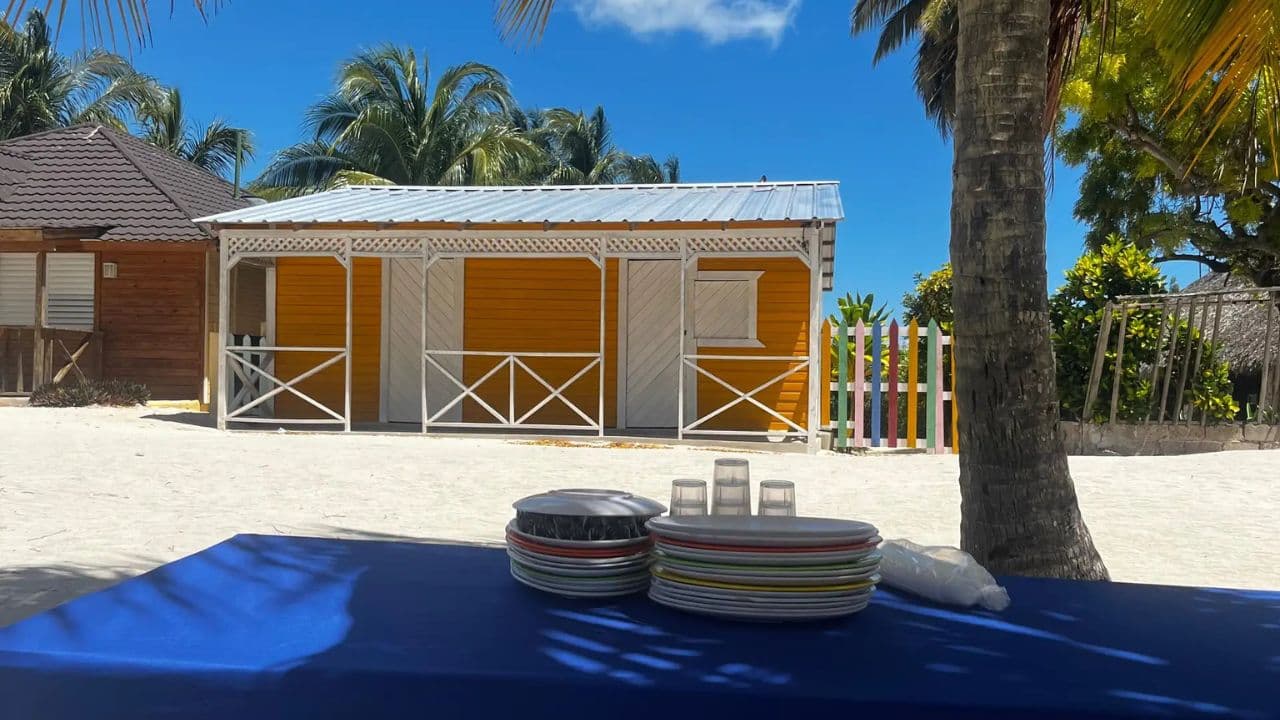 From La Romana: Saona Island for Carnival Cruises Passengers - Photo 3 (Gallery view)