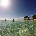 Cayo Arena: Paradise Island and Mangroves Tour - Dominican Republic
