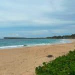 From Punta Cana: Round Mountain and Esmeralda Beach: Dream Adventure - Photo 2 (Gallery view)