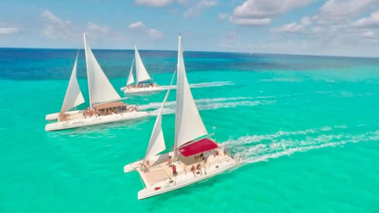 Escursione all'Isola di Saona: Paradiso Tropicale con Pranzo - Photo 2 (Gallery view)