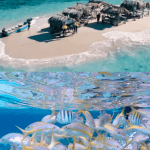 Cayo Arena: Cennet Adası Turu Sosua veya Cabarete - Photo 5 (Gallery view)
