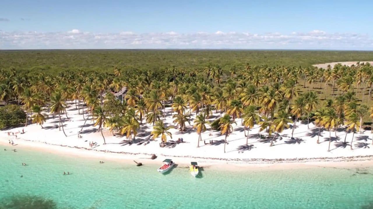 Punta Cana: Isla Saona Day Trip with Catamaran Party - Photo 4 (Gallery view)
