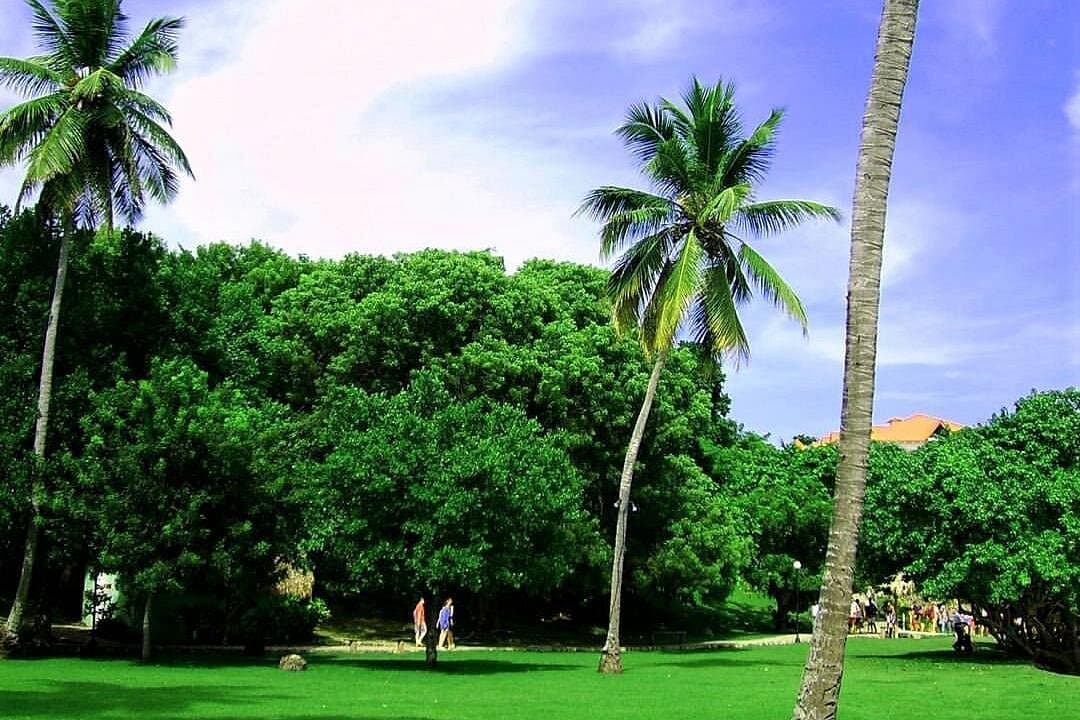 Tageskarte für die Insel Bacardi (Cayo Levantado). - Photo 4 (Gallery view)