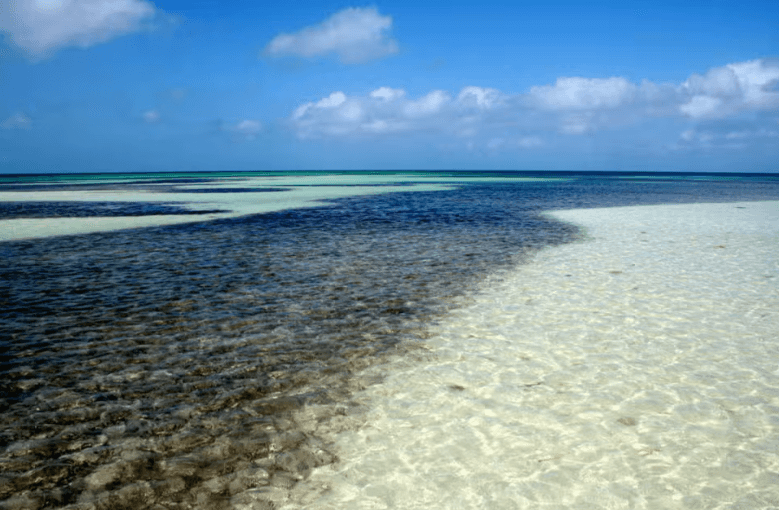 Cayo Blanco Catamaran Trip - Dominican Republic