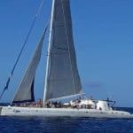 Catalina Island: Day Trip – Best Snorkeling! - Photo 4 (Gallery view)