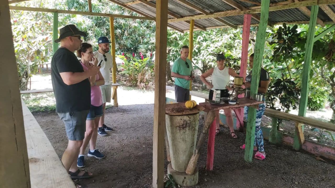 Small Group: Half Day Dominican Republic Cultural Tour - Photo 5 (Gallery view)