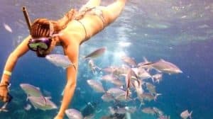 Punta Cana: Catalina Island Snorkeling Tour with Lunch - Dominican Republic