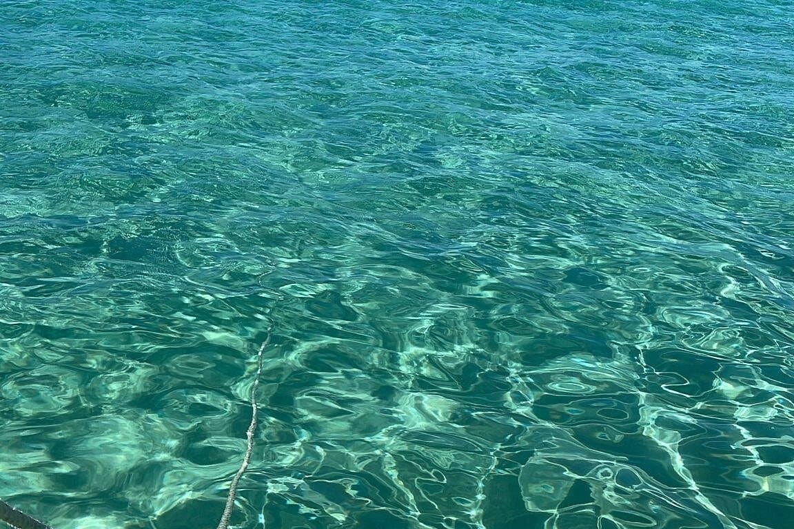 Private Tour to Cayo Icacos and Palomino Island - Dominican Republic