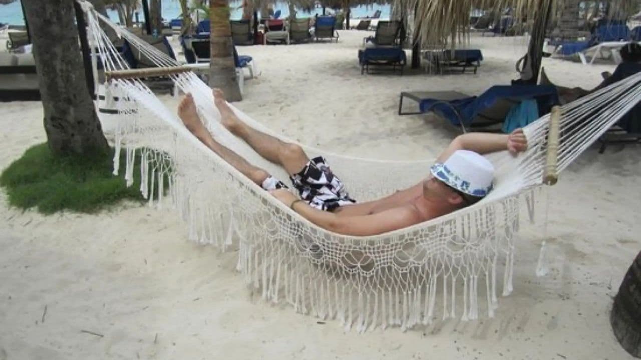 Saona Island Snorkeling, Catamaran and Lunch on the Beach - Dominican Republic