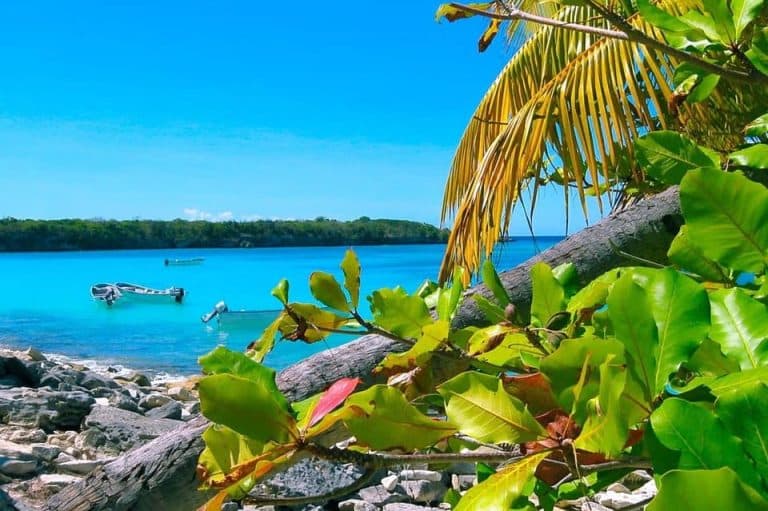 Punta Cana or La Romana: Catalina Island Tour and Snorkeling - Dominican Republic
