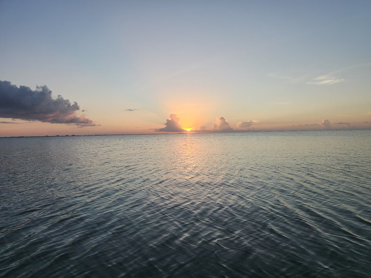 Private Boat Charter Experience in Bio Bay Cayman Island - Photo 4 (Gallery view)
