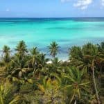 Pivate boat Saona Island Day Trip with Snorkeling and Lunch - Dominican Republic
