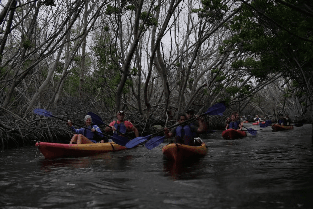 Fajardo: Bioluminescent Bay Kayak Tour in Puerto Rico - Photo 3 (Gallery view)