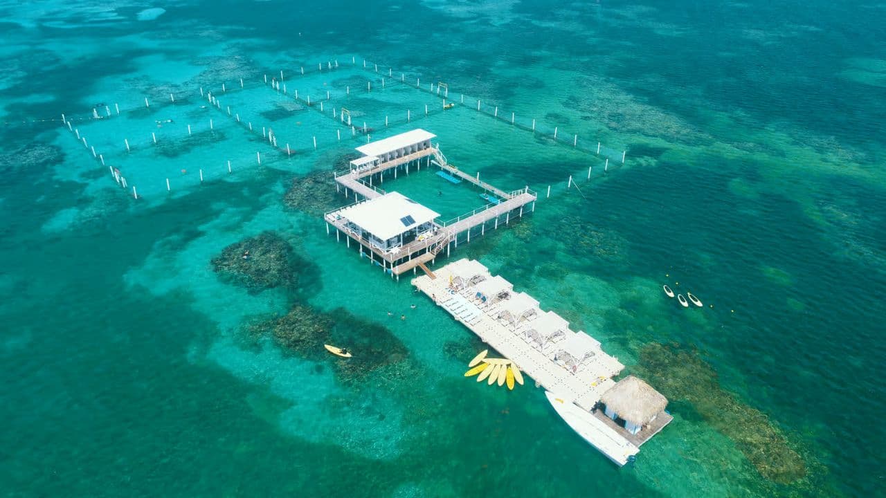 Punta Cana: bato ak plonje avanti ak ... - Photo 2 (Gallery view)