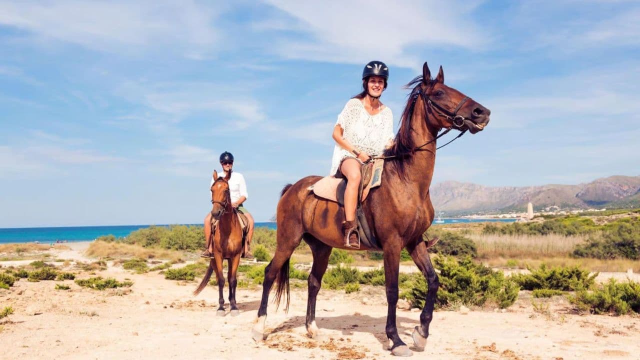 2hour horseback riding adventure on the beach jungle & river - Photo 4 (Gallery view)