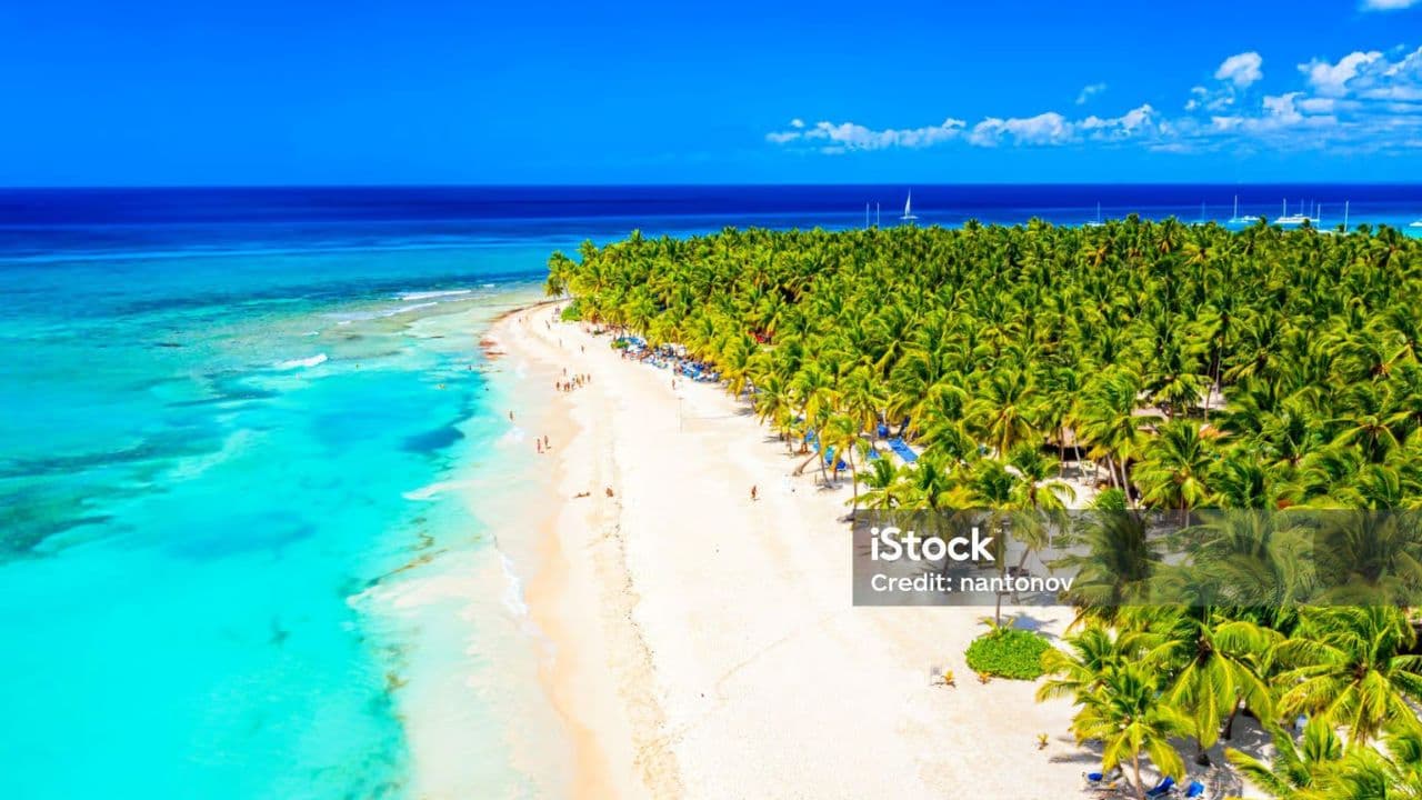 Punta Cana: Samaná Tour with Horse Ride, Cruise, and Lunch - Photo 5 (Gallery view)