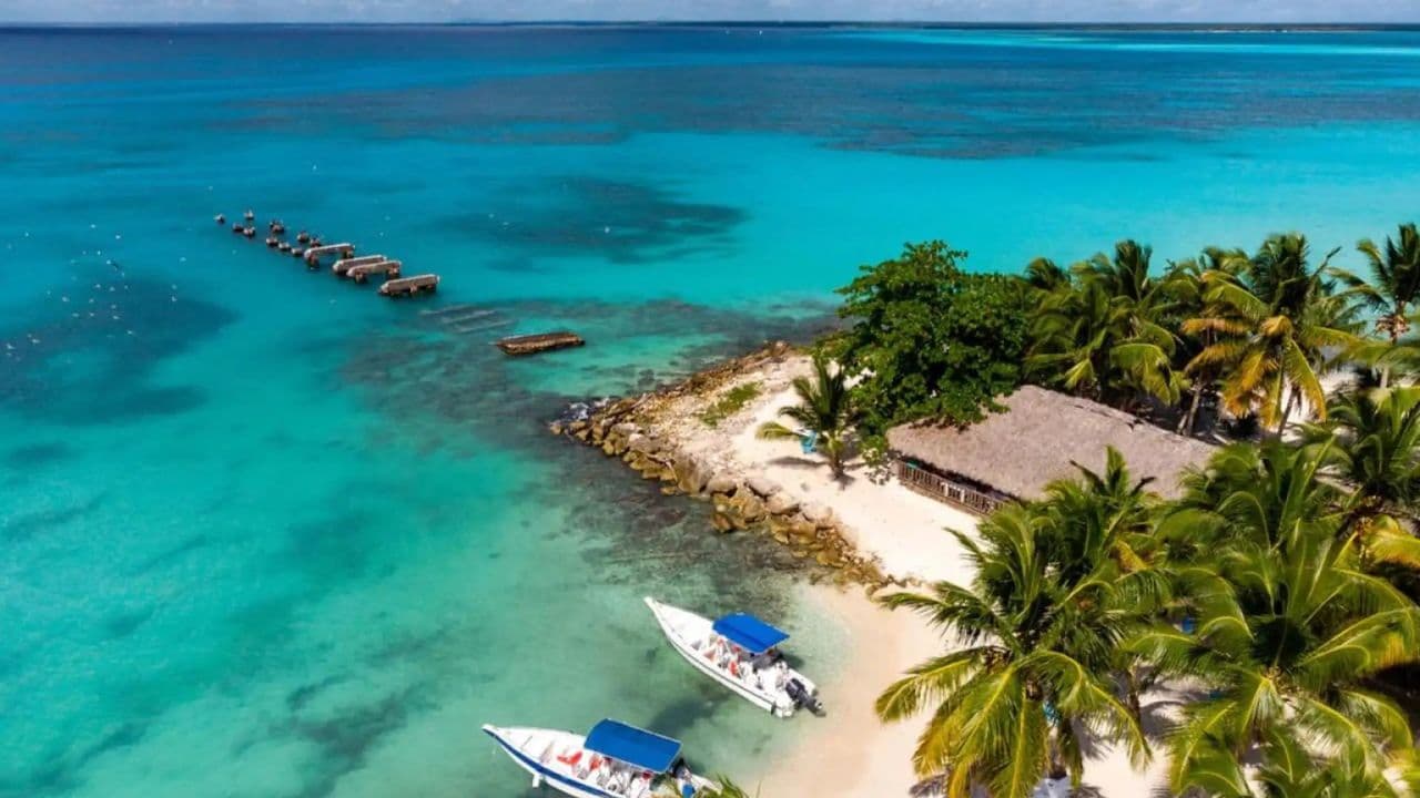 Isla Saona: tour para grupos pequeños por la playa y la piscina natural con almuerzo - Photo 3 (Gallery view)