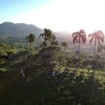 Punta Cana: Anamaya Mountains Walking Tour with Tasting - Photo 3 (Gallery view)
