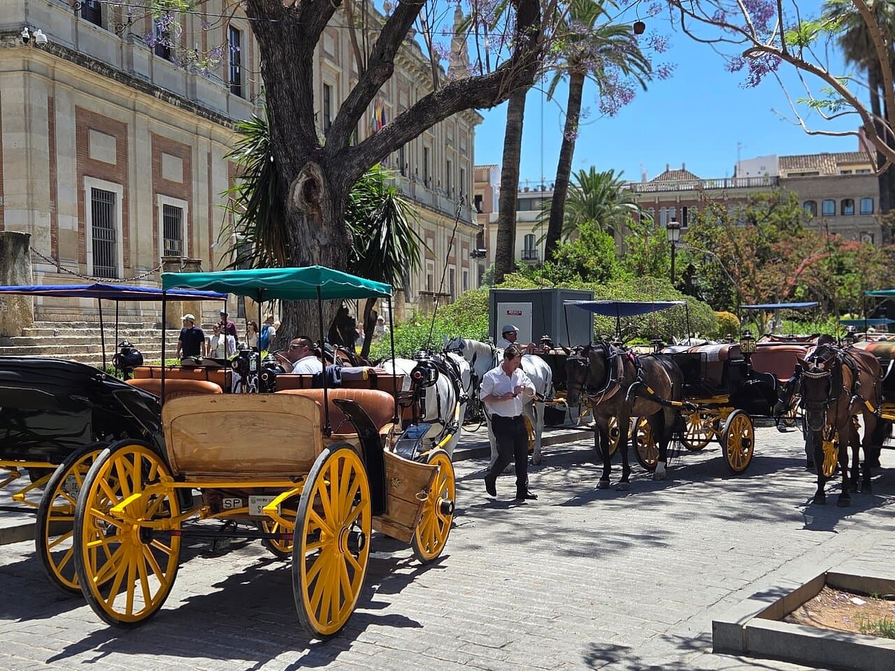 Seville Hop-On Hop-Off Bus Tour for 48 hours - Dominican Republic