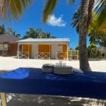 Saona Island: Small Group Virgin Beaches Cruise Day Trip - Dominican Republic