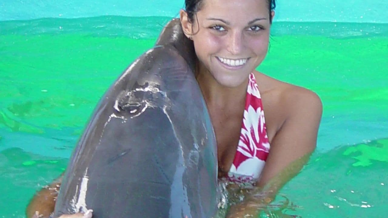 Dolphin Encounter at Ocean World, Puerto Plata - Dominican Republic