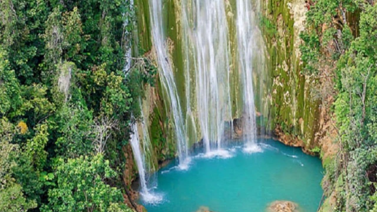 Samana: Full day Samana Amazing tour Punta Cana - Photo 4 (Gallery view)