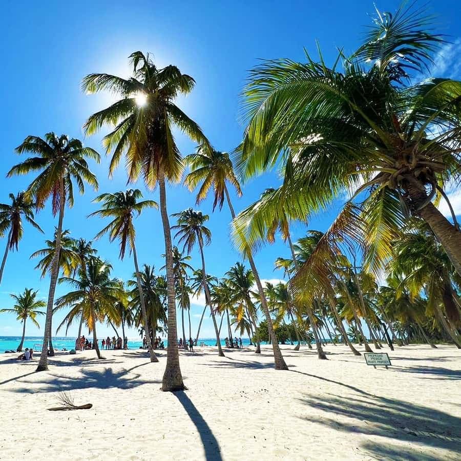 Punta Cana: Saona Island Premium 3 beaches - Dominican Republic
