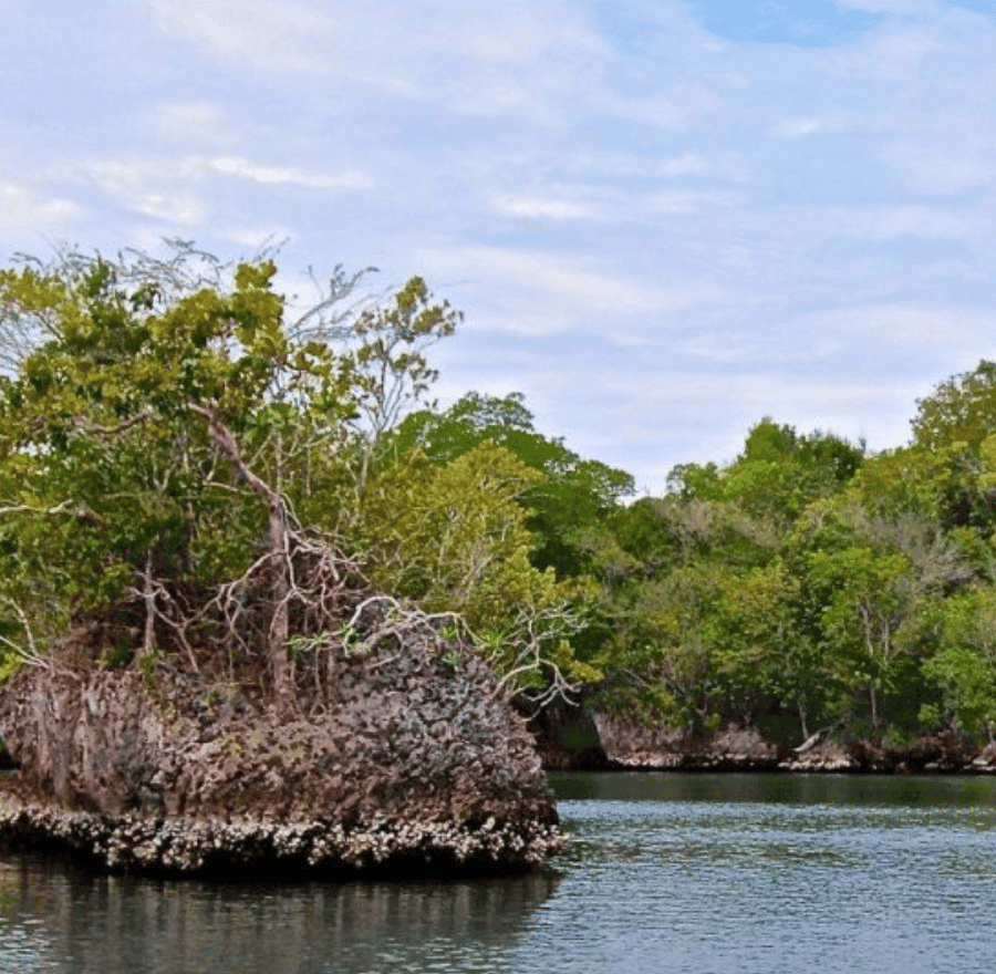 4in1: Los Haitises+ Kayaking+ Natural Pools+ Montana Redonda - Dominican Republic