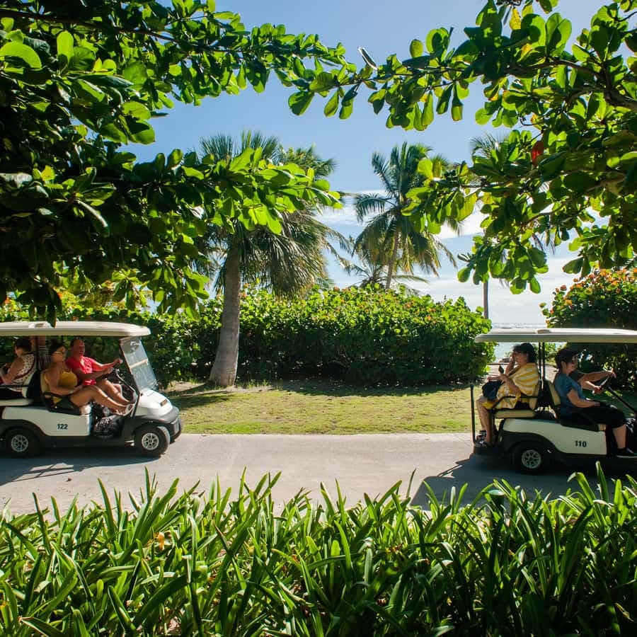 Golf Cart Eco Tour Half Day Tour - Dominican Republic
