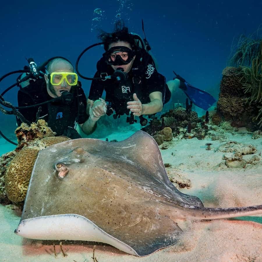 Bayhibe: Private 2 Tank Scuba Dive tour in the National Park - Dominican Republic
