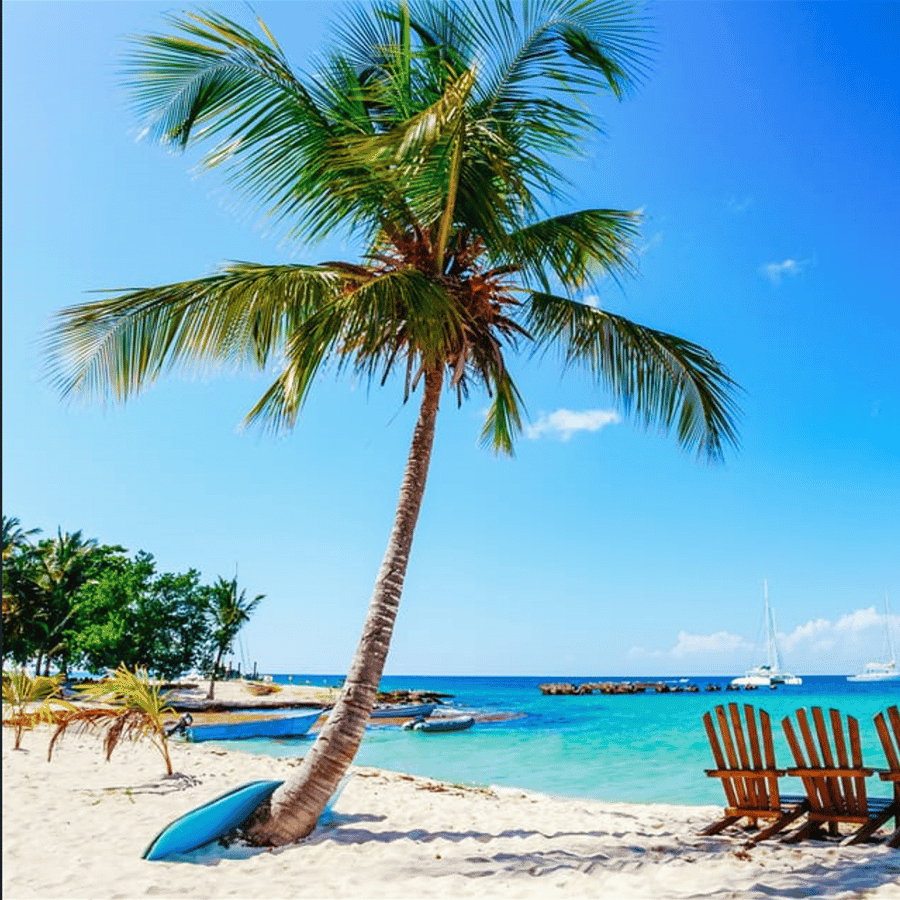 Punta Cana: 2-Day Saona Island and Los Haitises Adventure - Dominican Republic