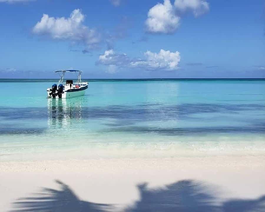 Santo Domingo: Isla Saona Day Trip with Lunch & Catamaran - Dominican Republic