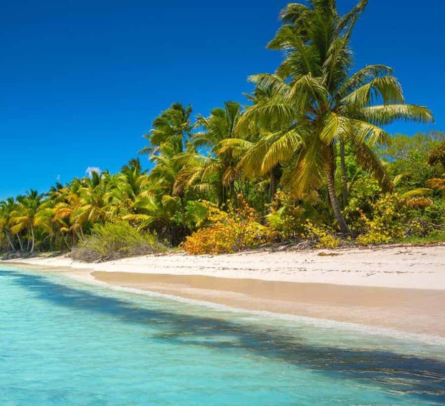 Saona Island: Full-Day Tour with Speedboat and Catamaran - Dominican Republic