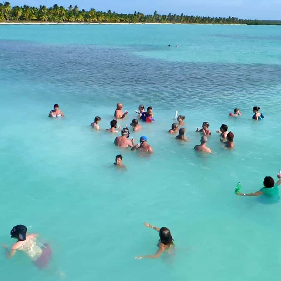 Santo Domingo: Saona Island Tour by Catamaran or Speedboat - Dominican Republic