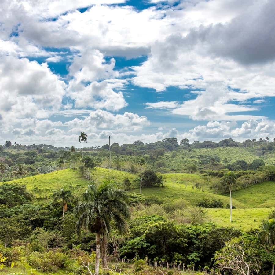 Punta Cana: Anamaya Mountains Walking Tour with Tasting - Dominican Republic