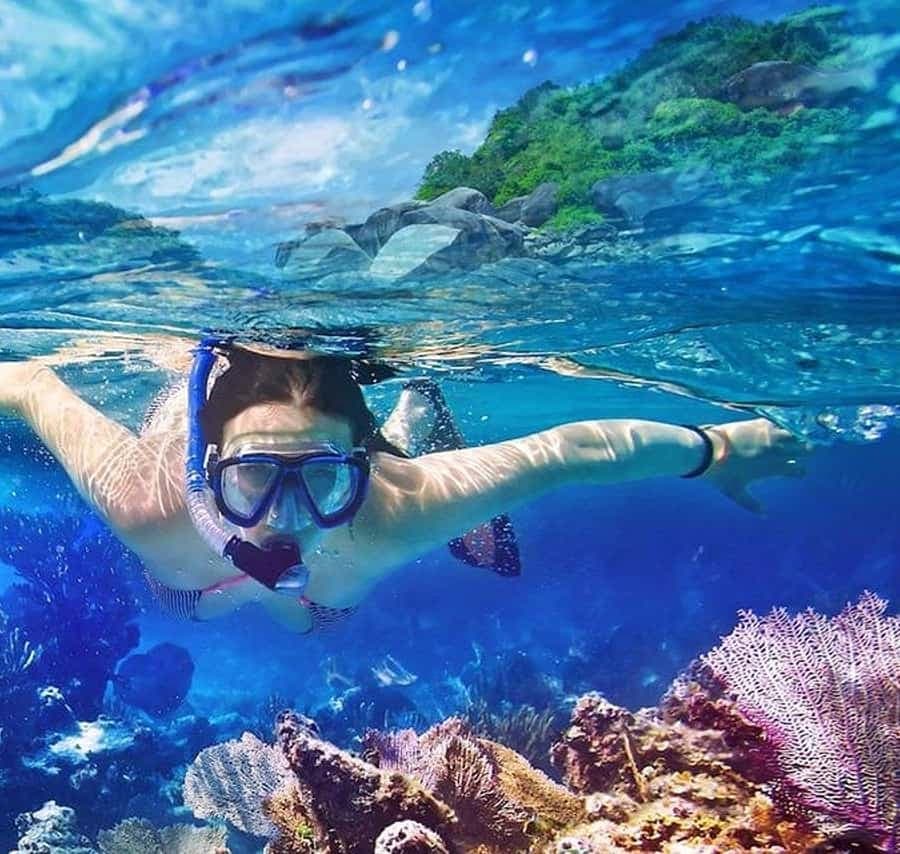 Punta Cana: Catalina Island Scuba Diving Day Trip - Dominican Republic