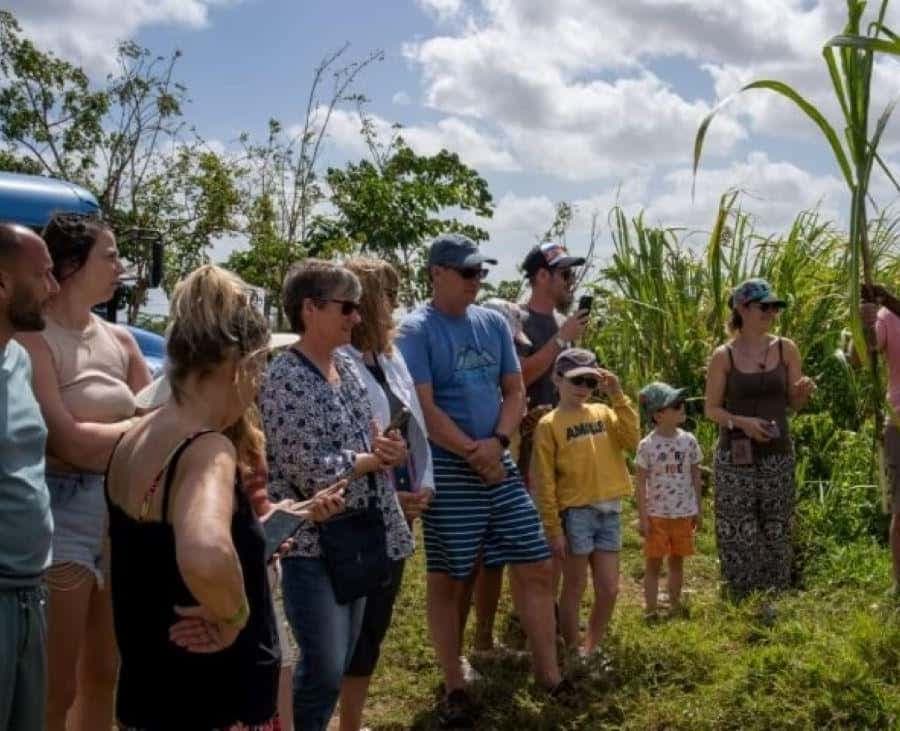 Punta Cana: Safari and City Tour with Horseback Riding - Dominican Republic