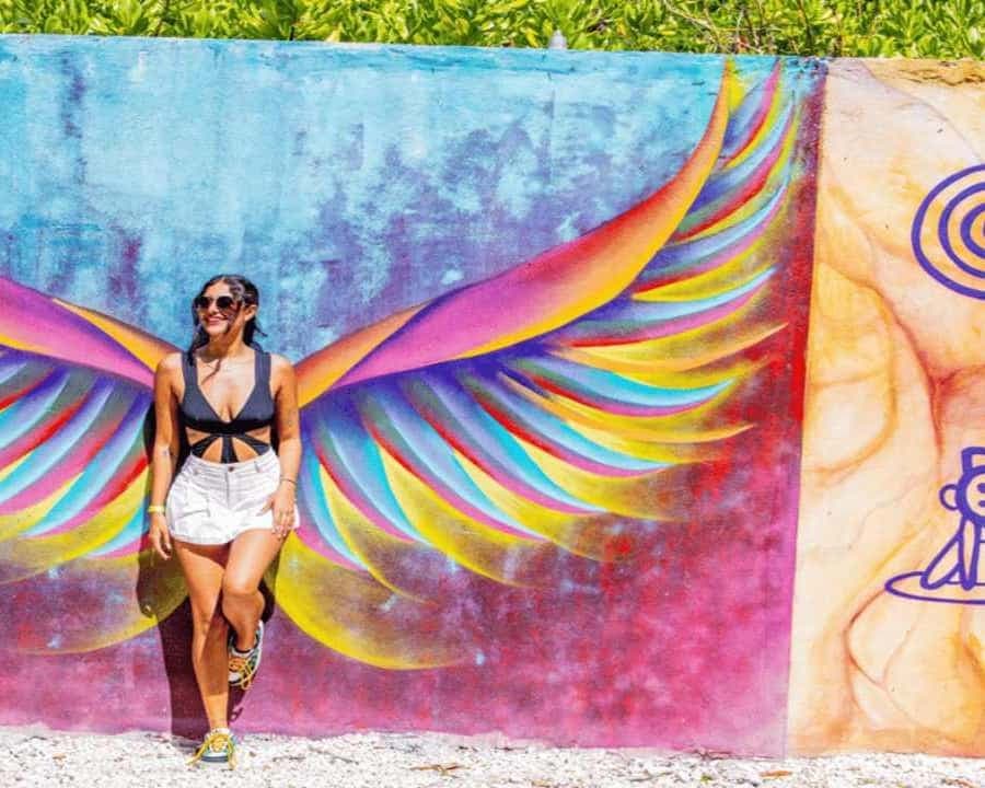 Punta Cana: Art and Forest Way Full-Day Tour with Lunch - Dominican Republic